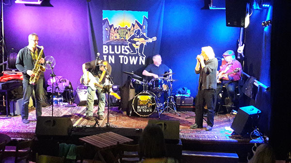 2024_12_14_TreatMeLikeADog_09